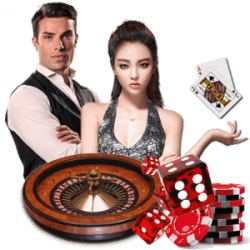 fans van het live casino